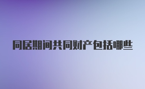 同居期间共同财产包括哪些