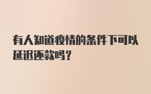 有人知道疫情的条件下可以延迟还款吗？