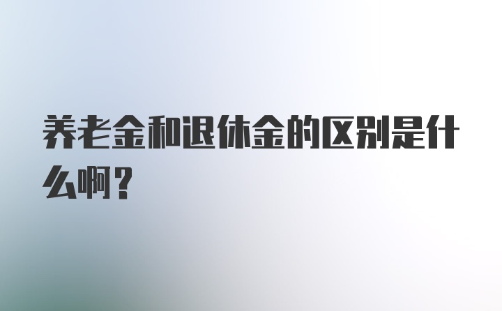 养老金和退休金的区别是什么啊？