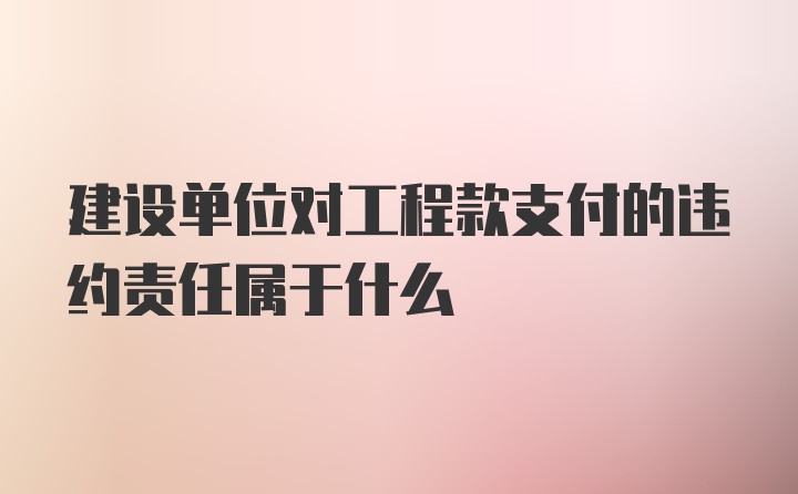 建设单位对工程款支付的违约责任属于什么