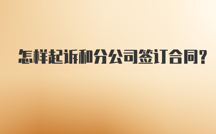 怎样起诉和分公司签订合同？