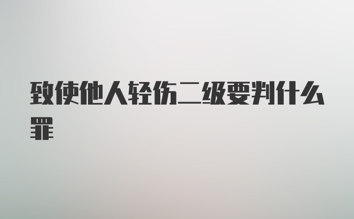 致使他人轻伤二级要判什么罪