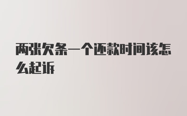 两张欠条一个还款时间该怎么起诉