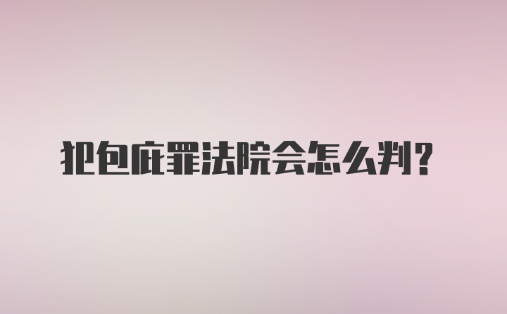 犯包庇罪法院会怎么判？