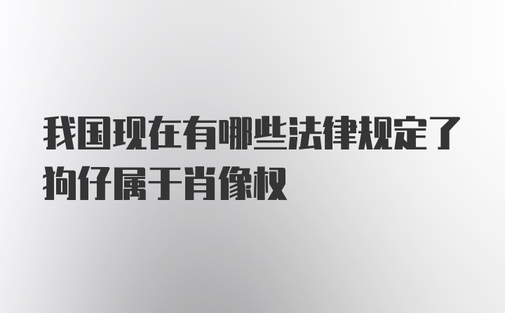 我国现在有哪些法律规定了狗仔属于肖像权