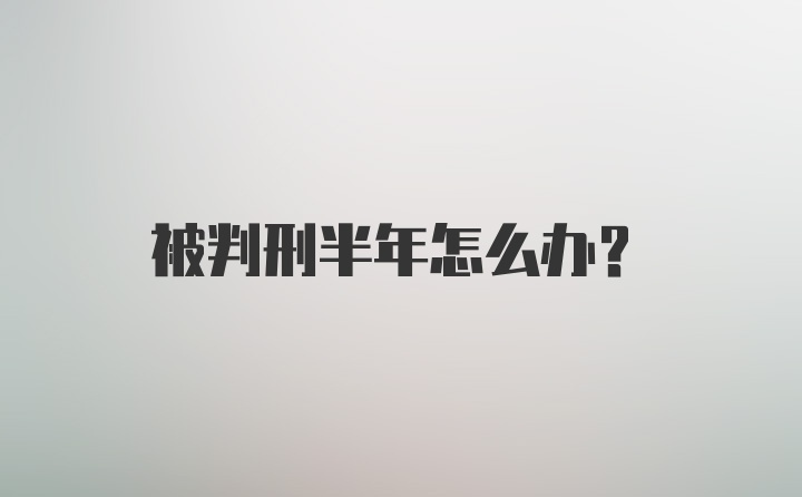 被判刑半年怎么办？