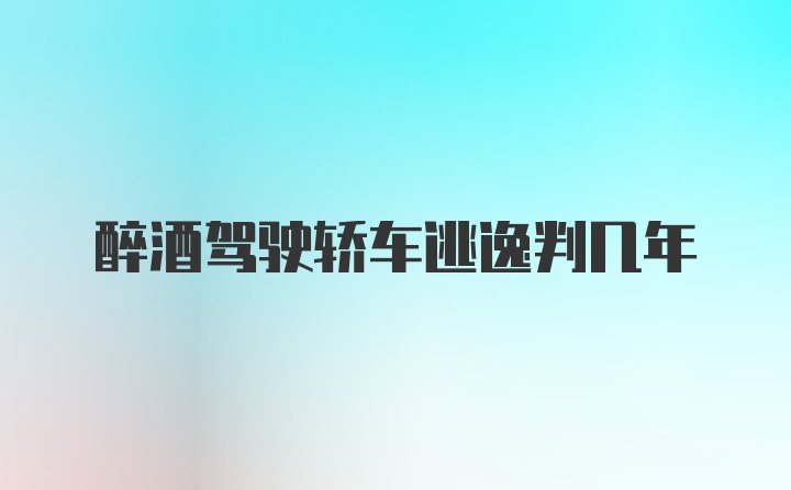 醉酒驾驶轿车逃逸判几年