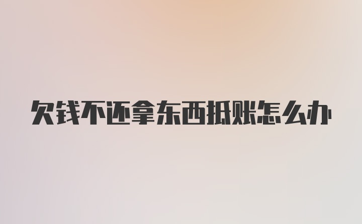 欠钱不还拿东西抵账怎么办