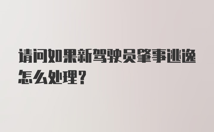 请问如果新驾驶员肇事逃逸怎么处理？