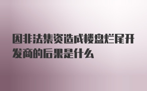 因非法集资造成楼盘烂尾开发商的后果是什么