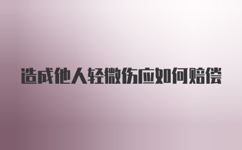 造成他人轻微伤应如何赔偿