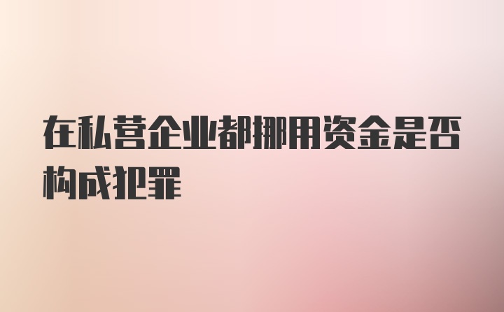 在私营企业都挪用资金是否构成犯罪