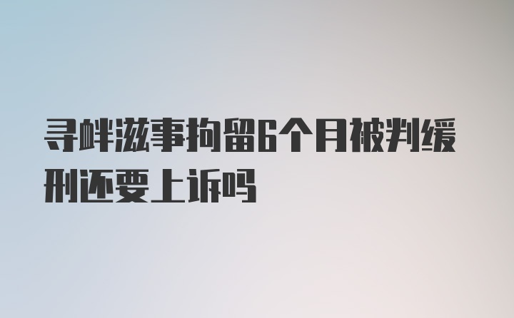 寻衅滋事拘留6个月被判缓刑还要上诉吗