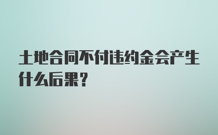 土地合同不付违约金会产生什么后果？