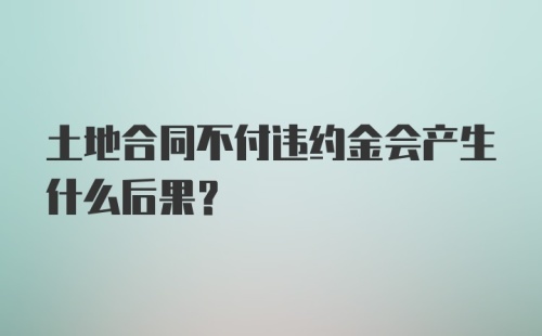 土地合同不付违约金会产生什么后果？