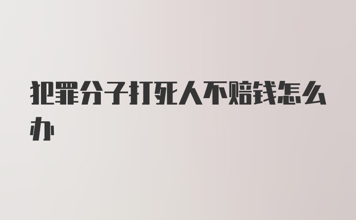 犯罪分子打死人不赔钱怎么办