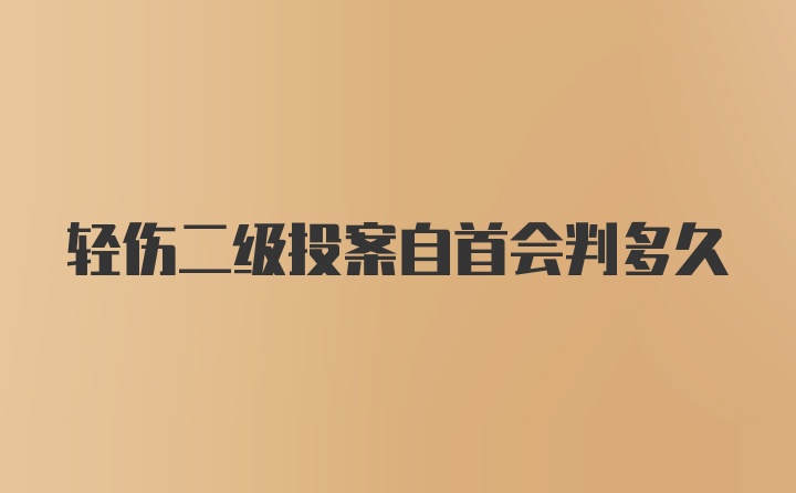 轻伤二级投案自首会判多久