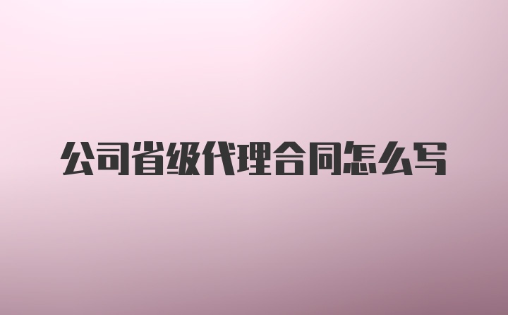 公司省级代理合同怎么写