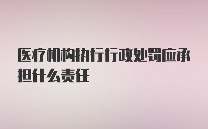 医疗机构执行行政处罚应承担什么责任