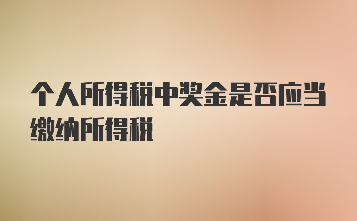 个人所得税中奖金是否应当缴纳所得税