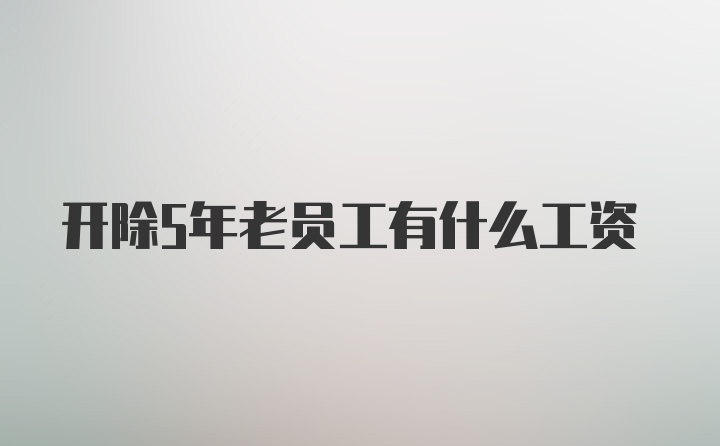 开除5年老员工有什么工资