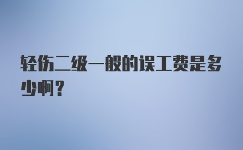 轻伤二级一般的误工费是多少啊?