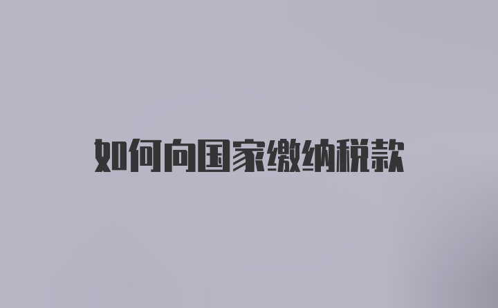 如何向国家缴纳税款