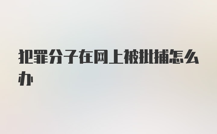 犯罪分子在网上被批捕怎么办