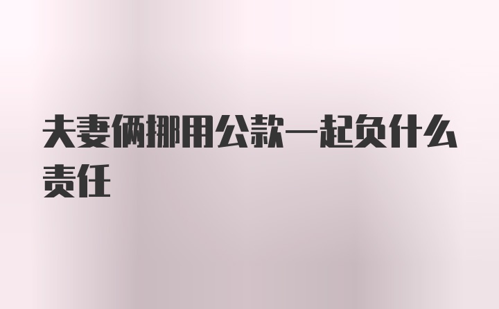 夫妻俩挪用公款一起负什么责任