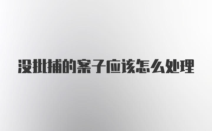 没批捕的案子应该怎么处理