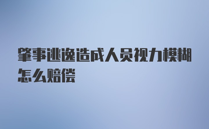 肇事逃逸造成人员视力模糊怎么赔偿