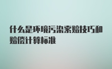 什么是环境污染索赔技巧和赔偿计算标准