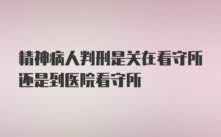 精神病人判刑是关在看守所还是到医院看守所