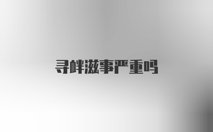 寻衅滋事严重吗