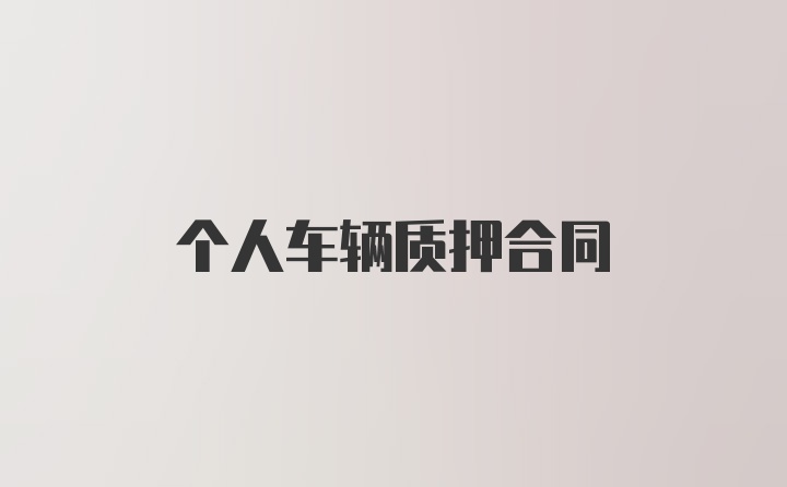 个人车辆质押合同