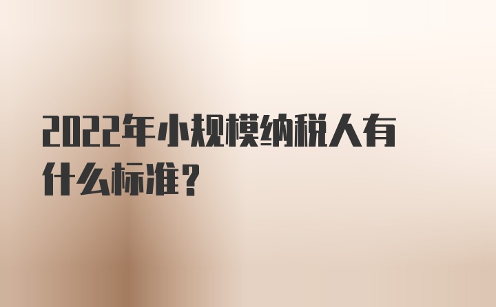 2022年小规模纳税人有什么标准？