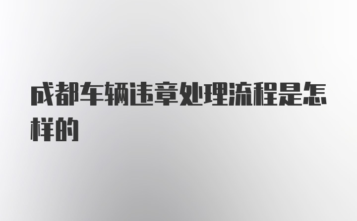 成都车辆违章处理流程是怎样的