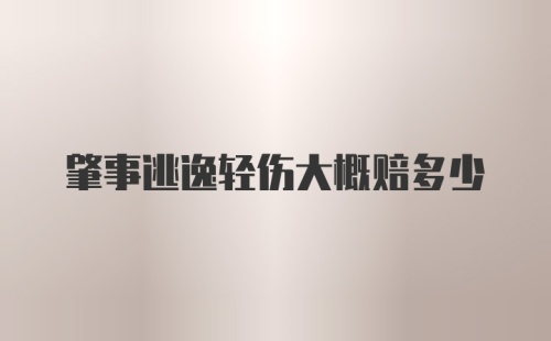 肇事逃逸轻伤大概赔多少