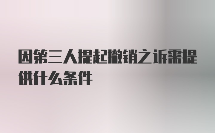 因第三人提起撤销之诉需提供什么条件