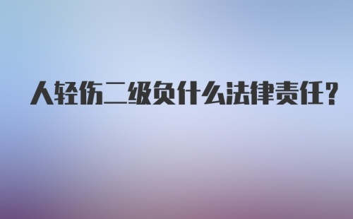 人轻伤二级负什么法律责任？