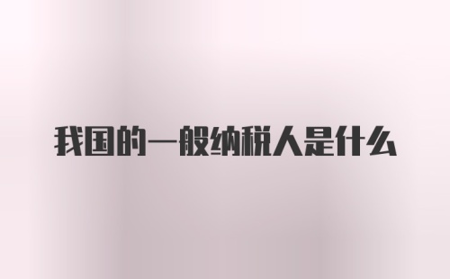 我国的一般纳税人是什么