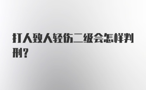 打人致人轻伤二级会怎样判刑？