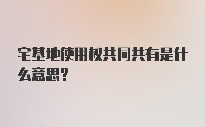 宅基地使用权共同共有是什么意思？