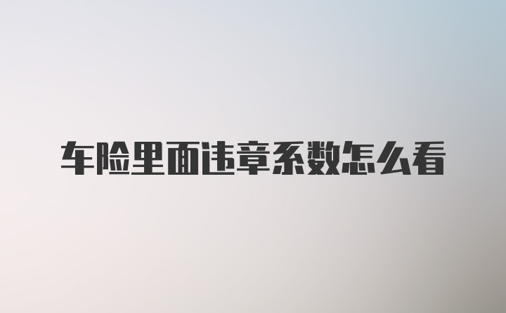 车险里面违章系数怎么看