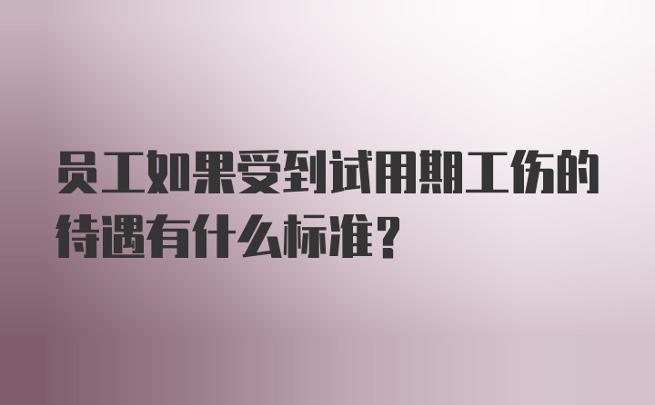 员工如果受到试用期工伤的待遇有什么标准?