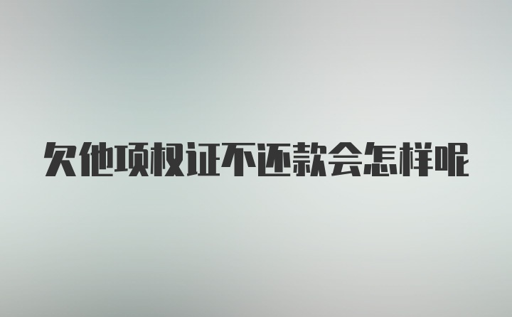 欠他项权证不还款会怎样呢