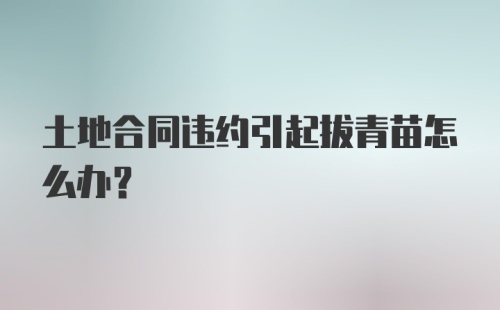 土地合同违约引起拔青苗怎么办？