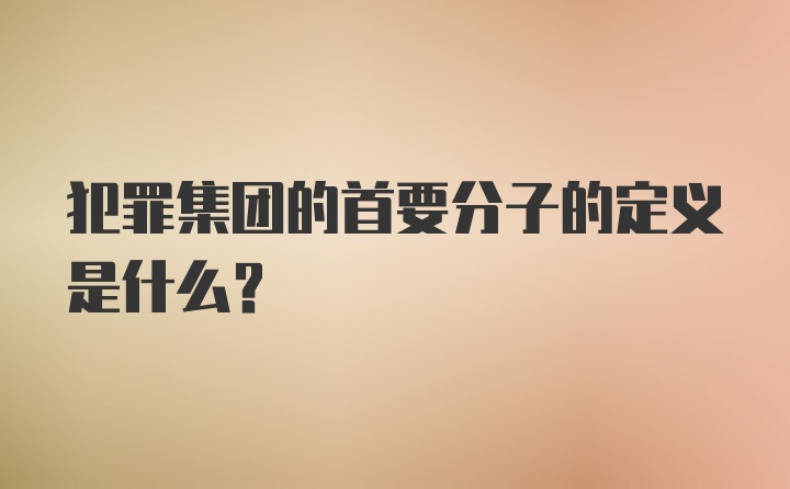 犯罪集团的首要分子的定义是什么？