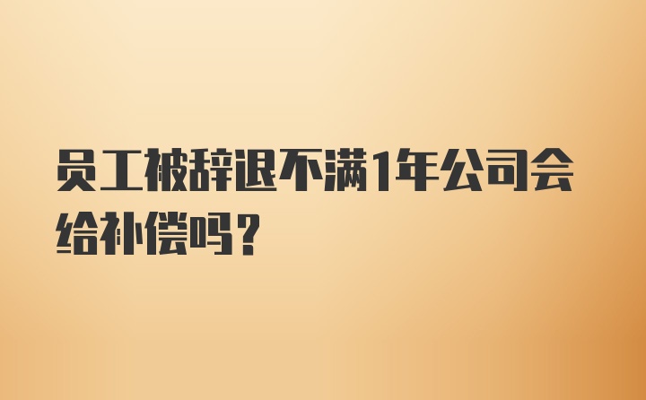 员工被辞退不满1年公司会给补偿吗？