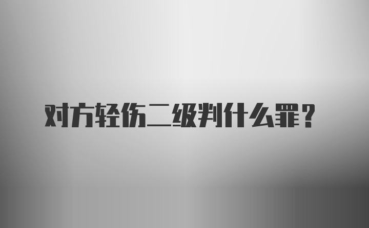 对方轻伤二级判什么罪？